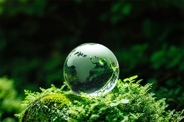 Technology's Role in Corporate ESG: Beyond Carbon Counting