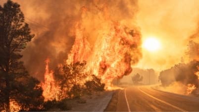 When Infrastructure Gets Tested by Fire — Literally